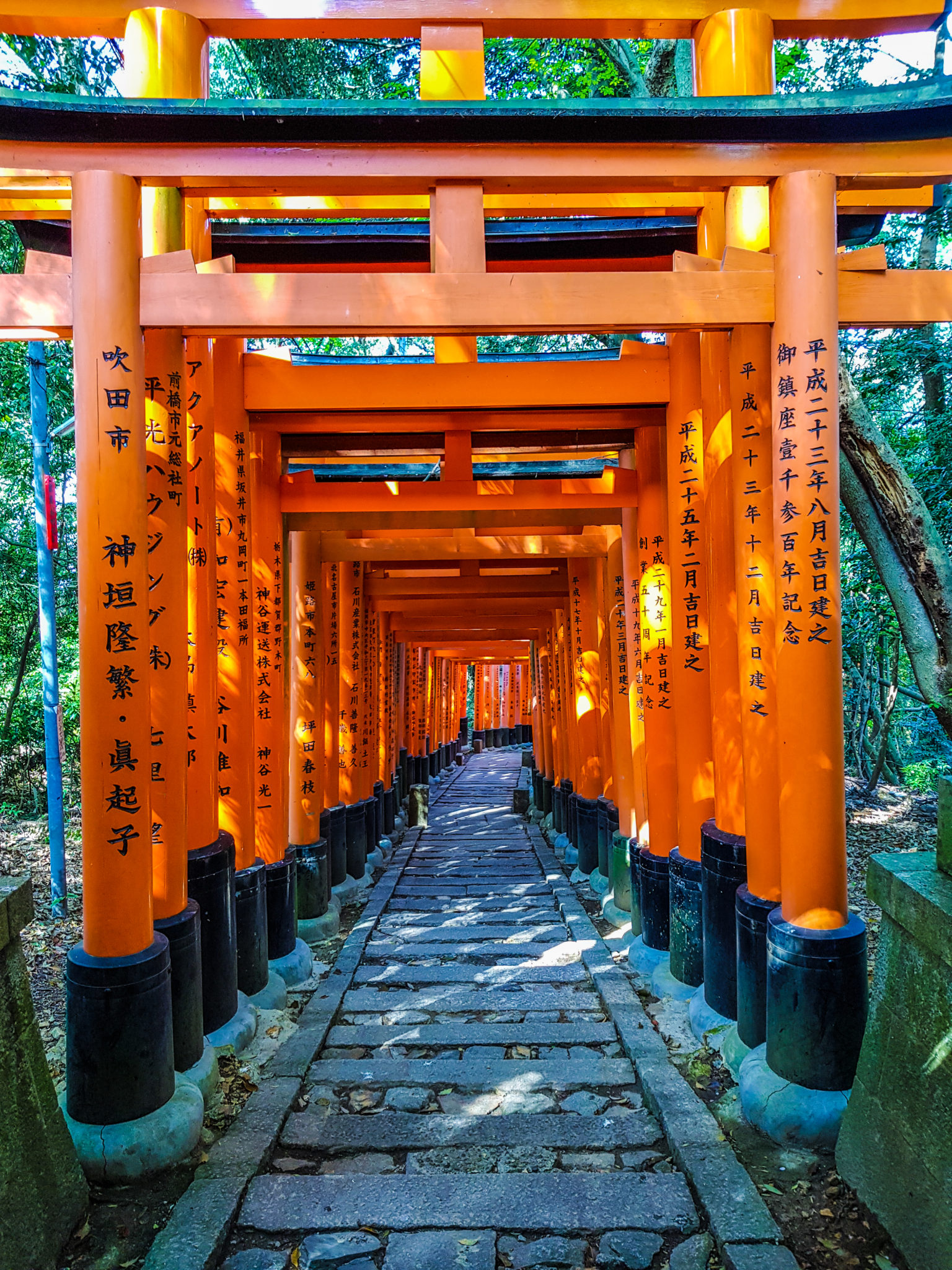 Fushimi Inari