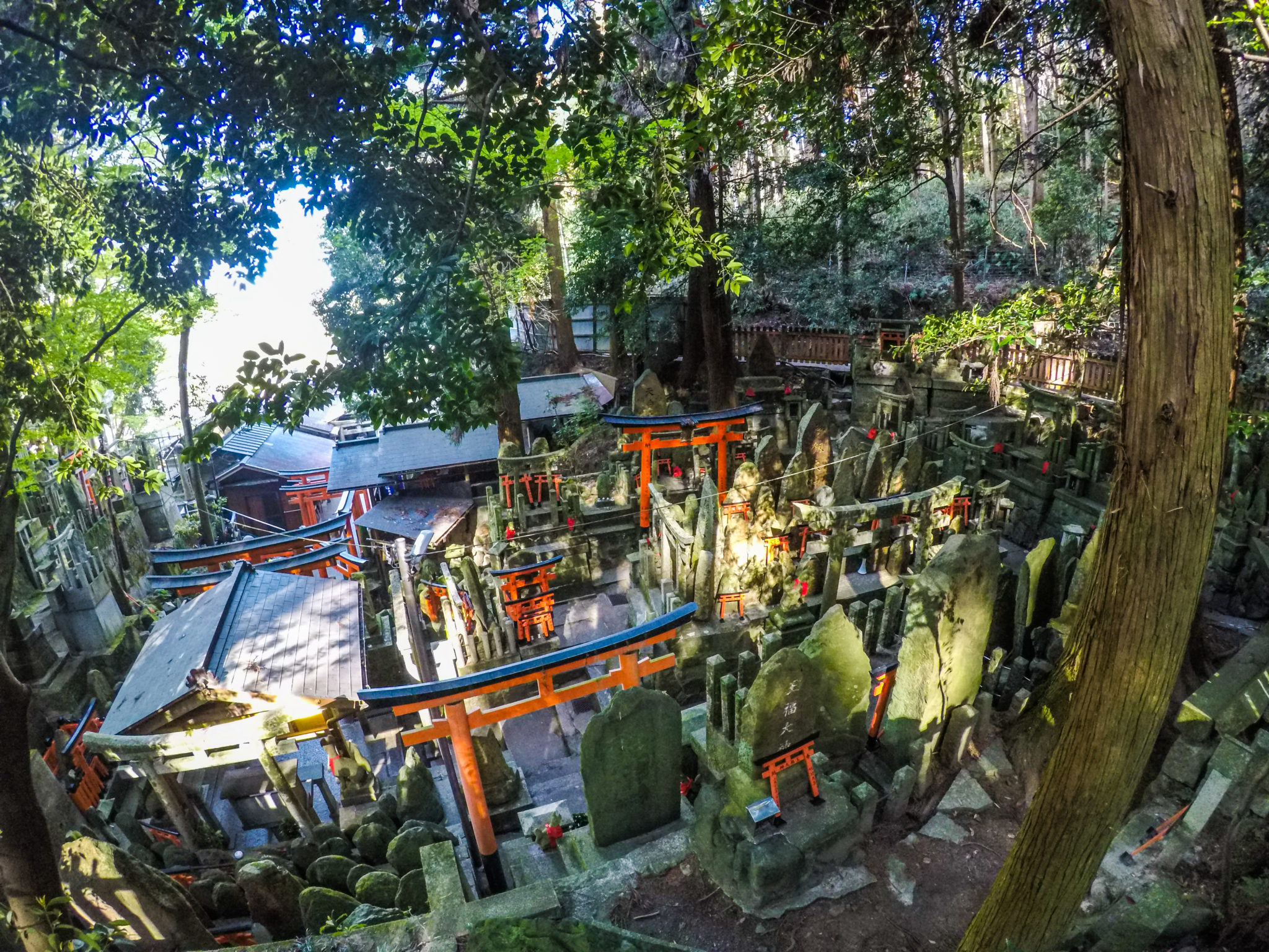 Fushimi Inari